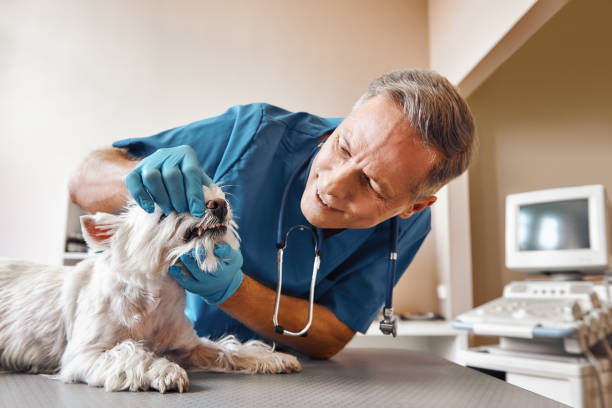 Best Emergency Root Canal Treatment in Monrovia, CA